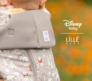 carrier shown is grey all seasons carrier featuring winnie the pooh print by disney baby & lillebaby